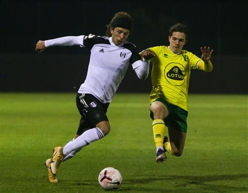 Fulham vs Thành phố Norwich