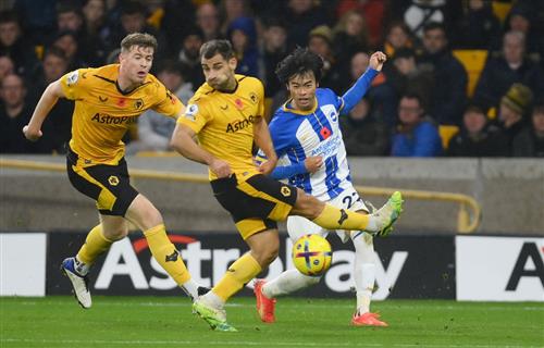 Wolves vs Brighton