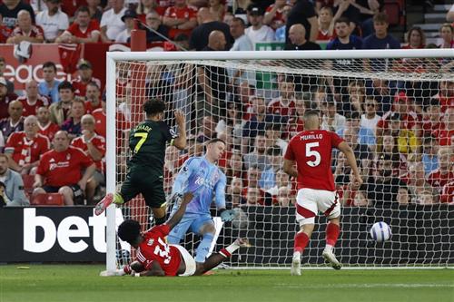 Nottingham Forest vs Brentford